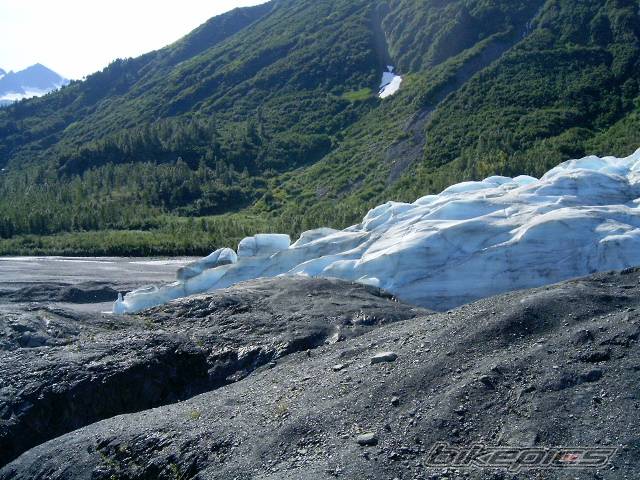 Photo 197764