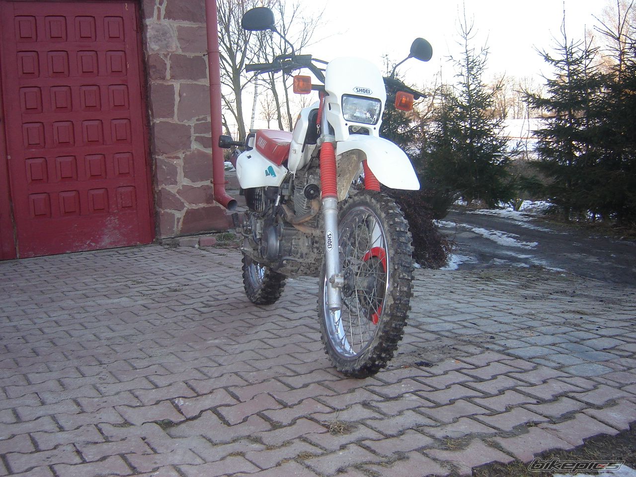 Photo 1977818