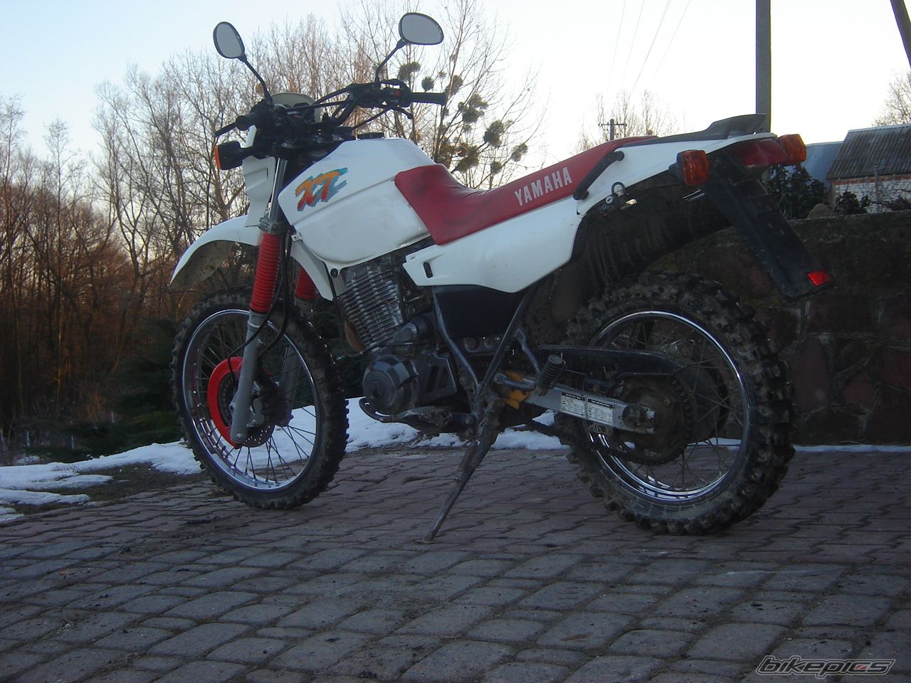 Photo 1977820