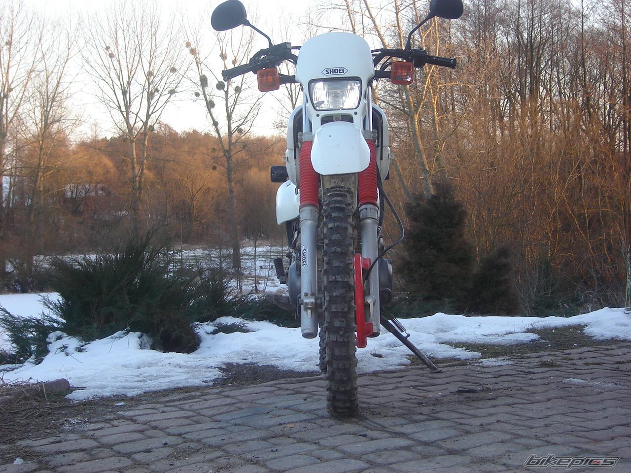 Photo 1977832