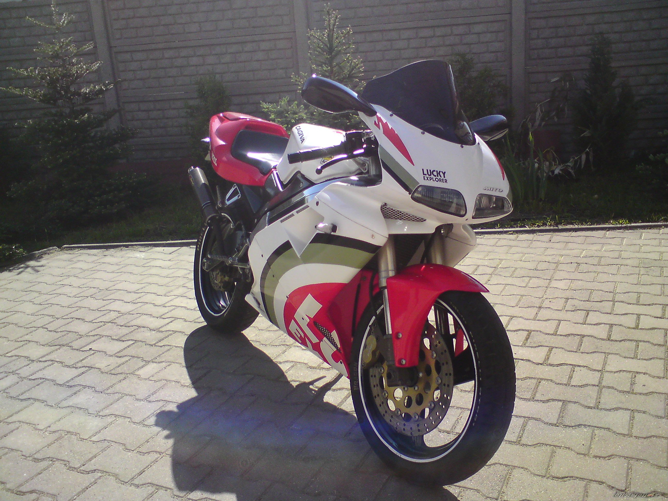 Bike Photo 1977874