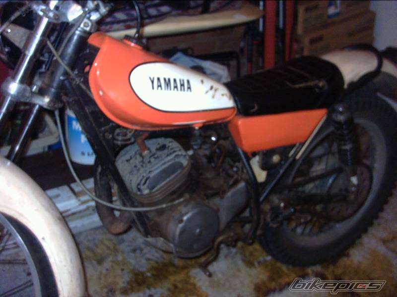 Photo 197789