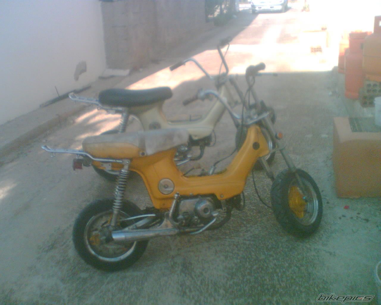 Photo 1977946