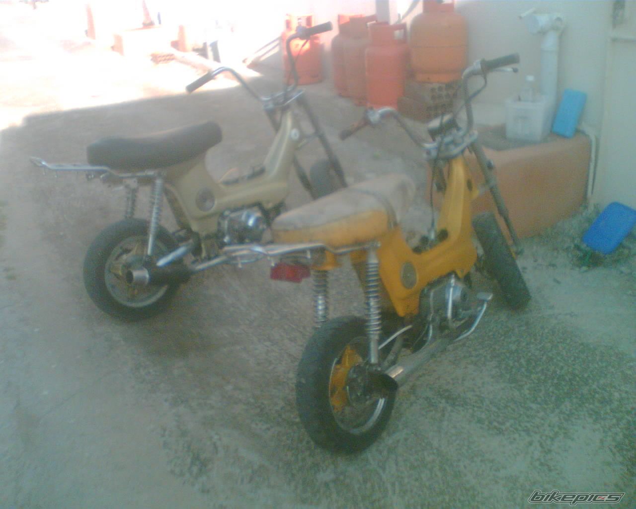 Photo 1977947