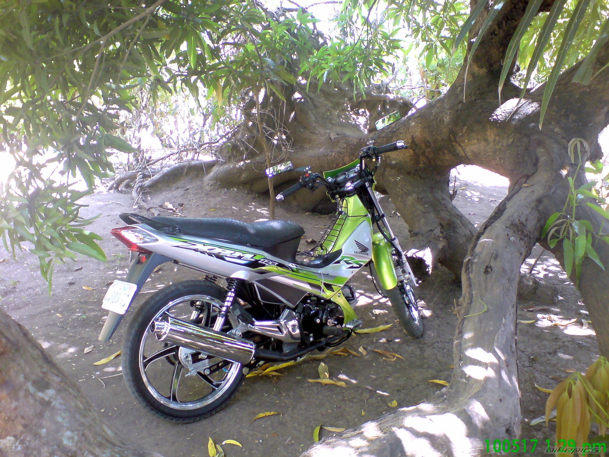 Photo 1978015