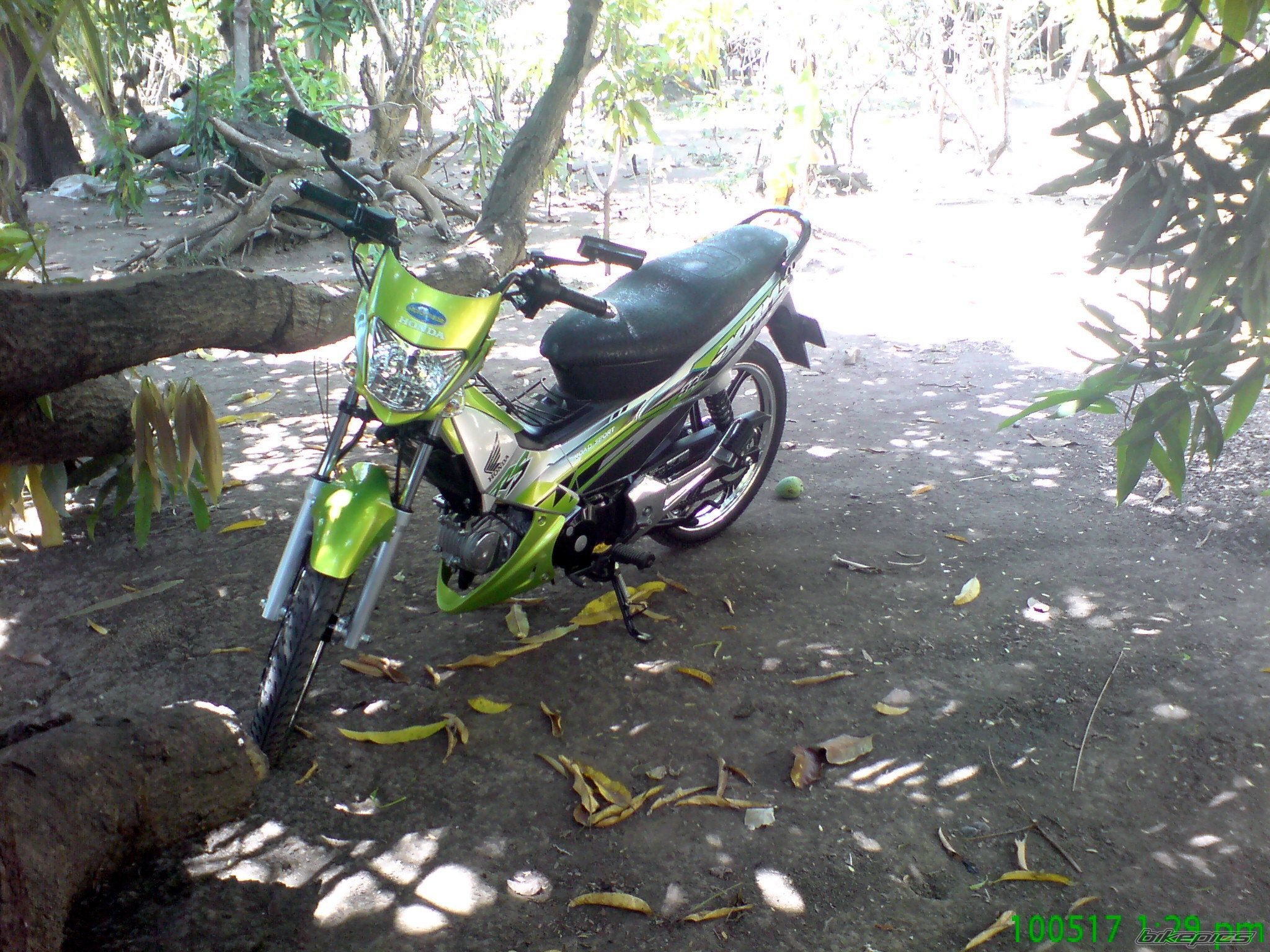 Photo 1978016