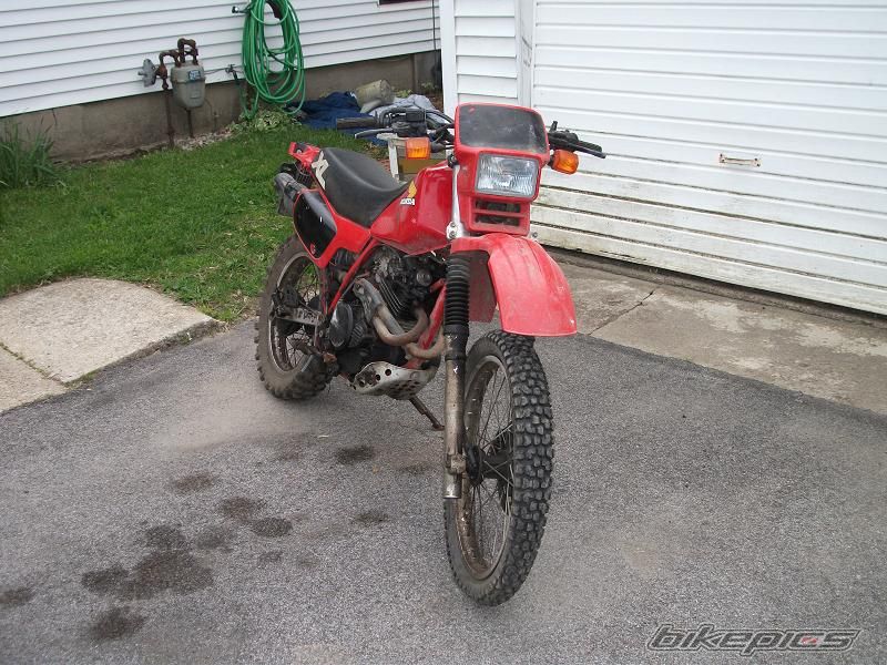 Photo 1978041