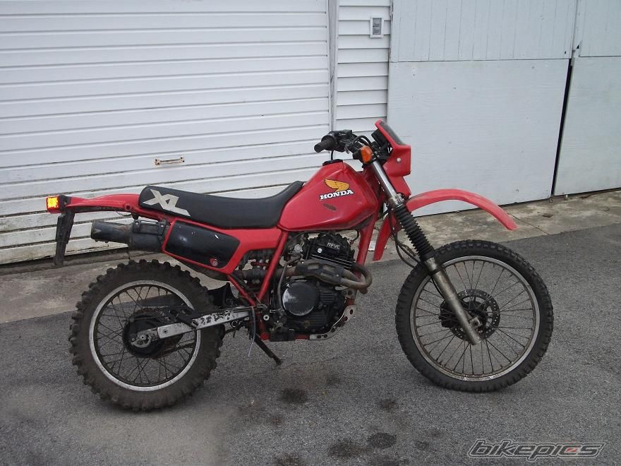 Photo 1978042