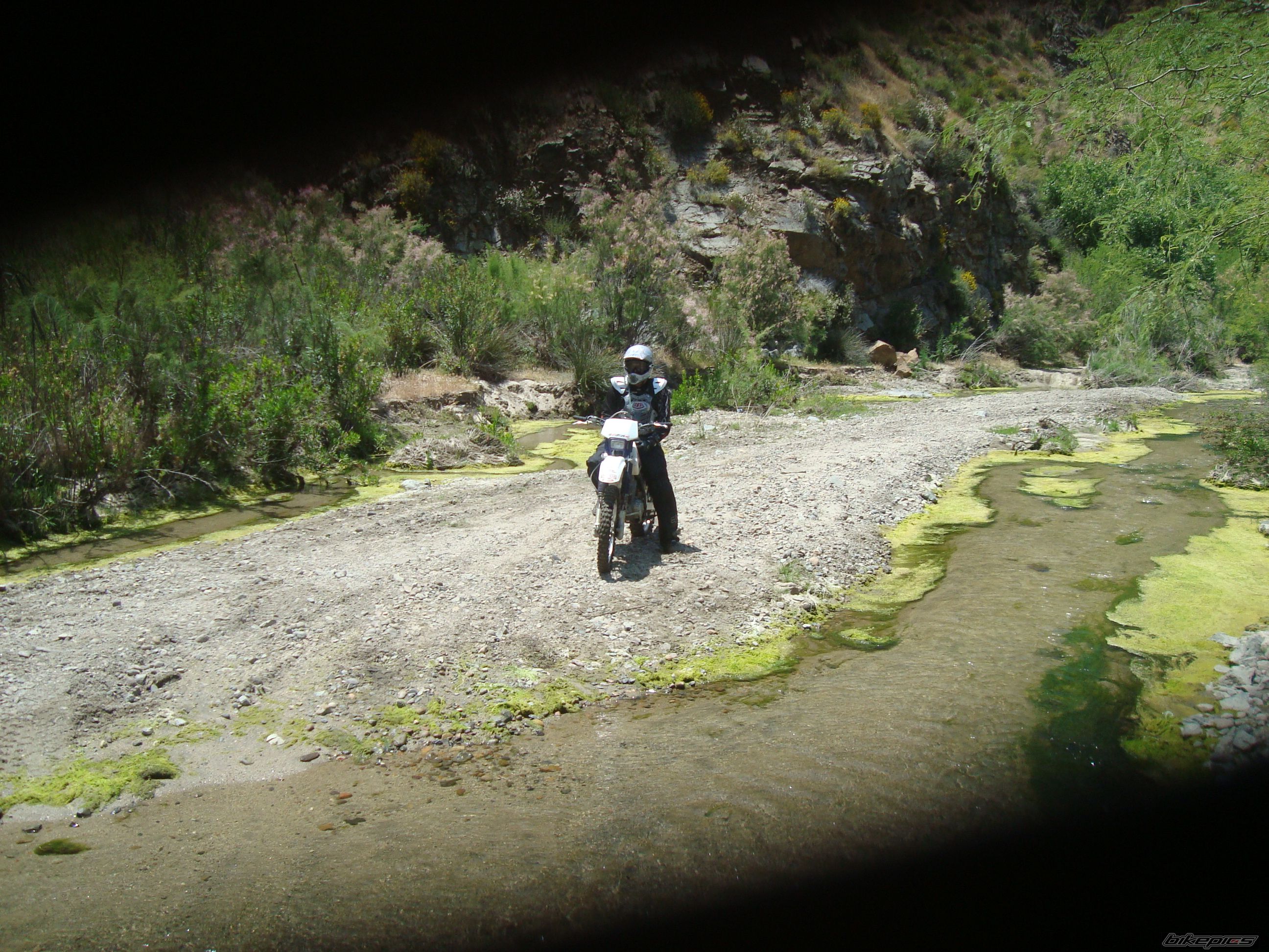 Photo 1978051