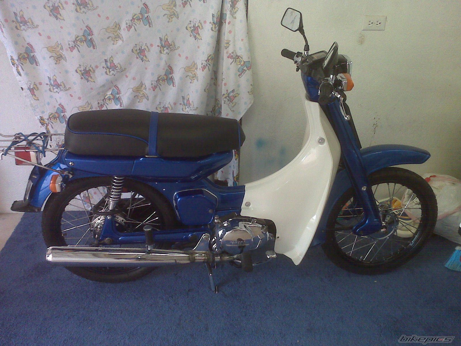 Photo 1978071
