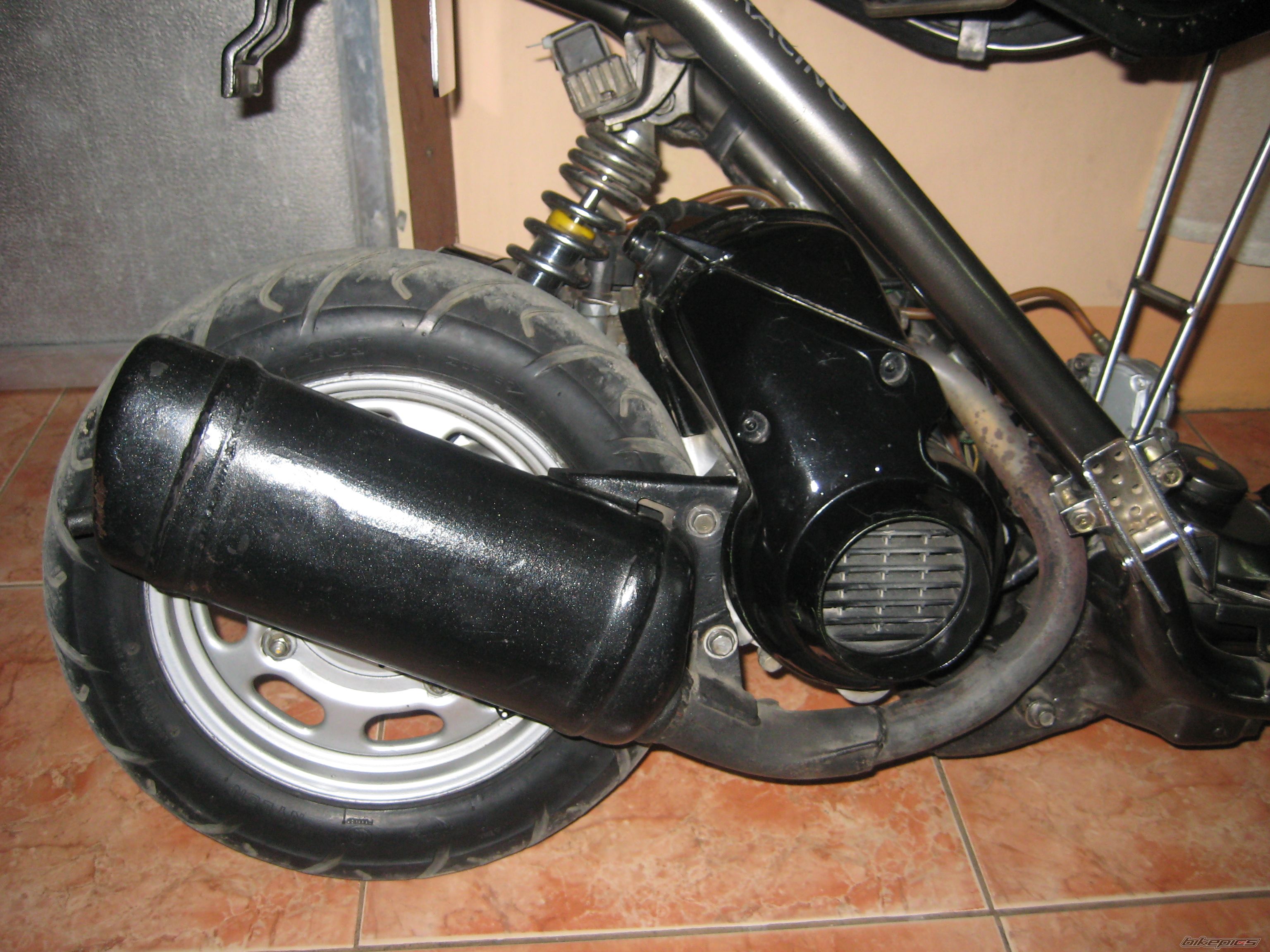 Photo 1978154