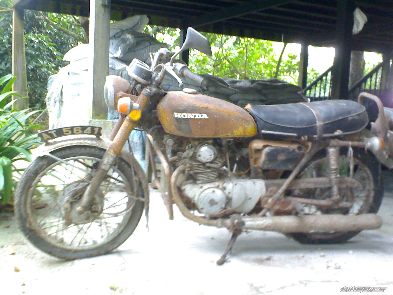 Photo 1978173