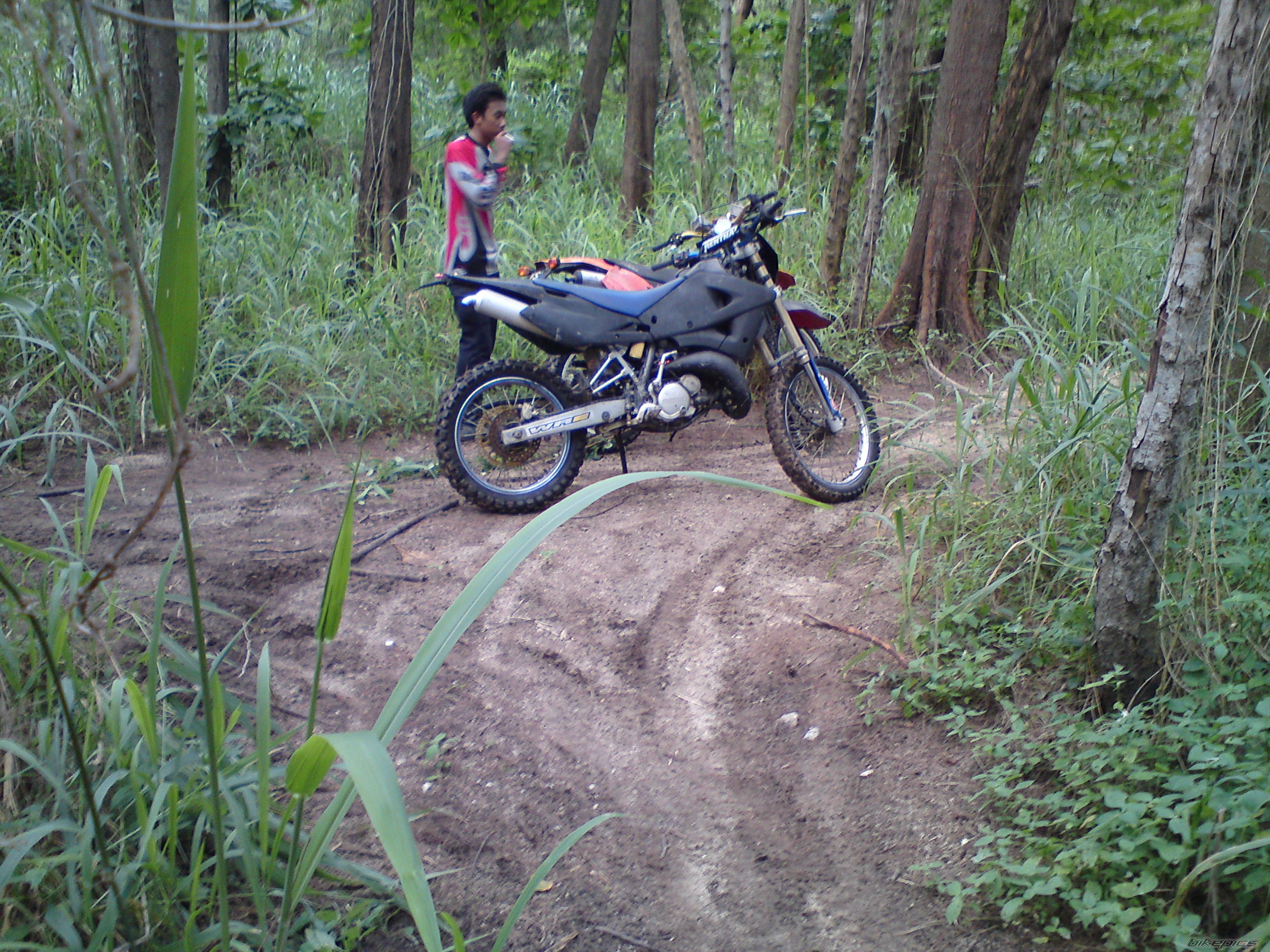 Photo 1978259