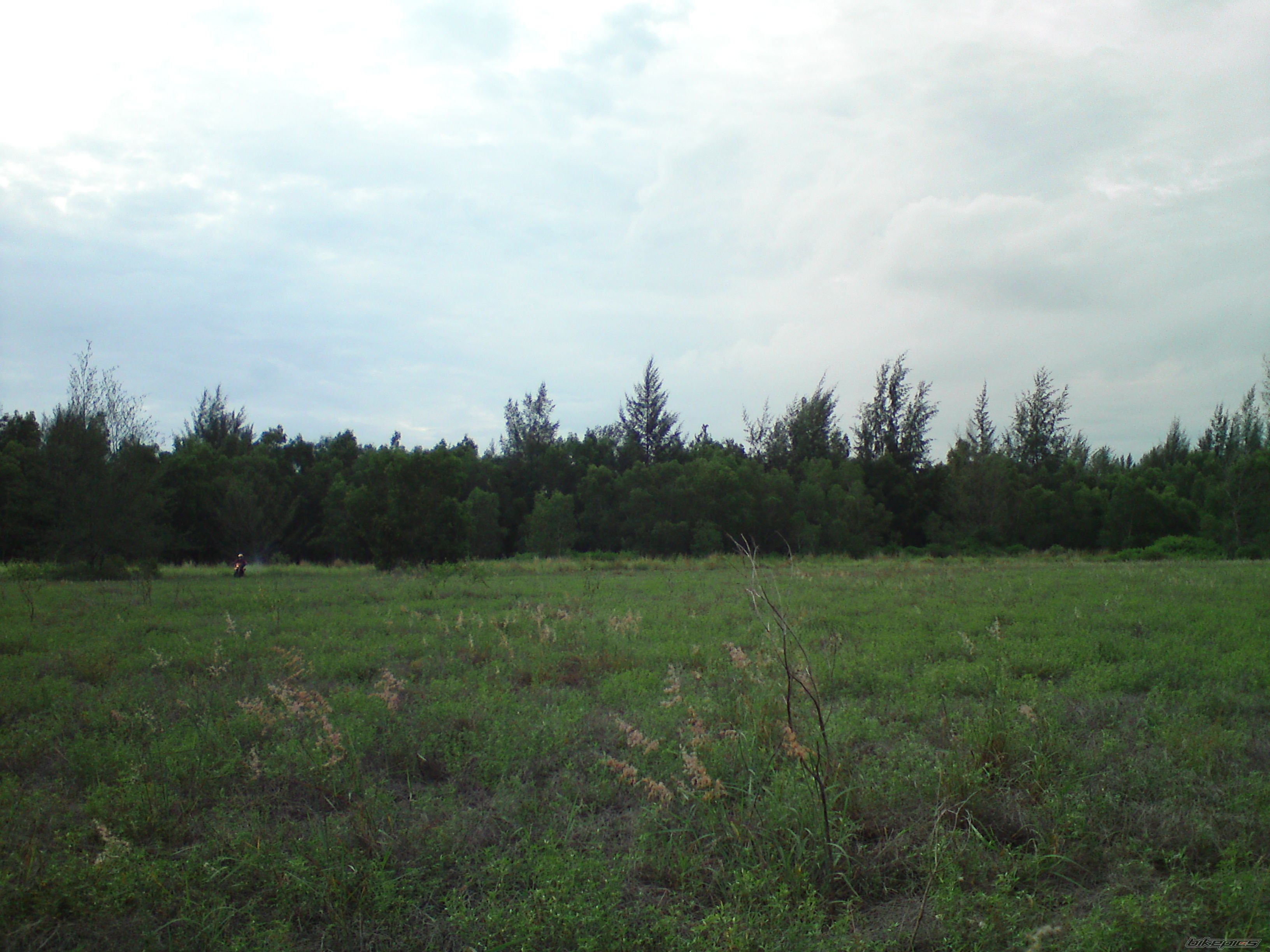Photo 1978269