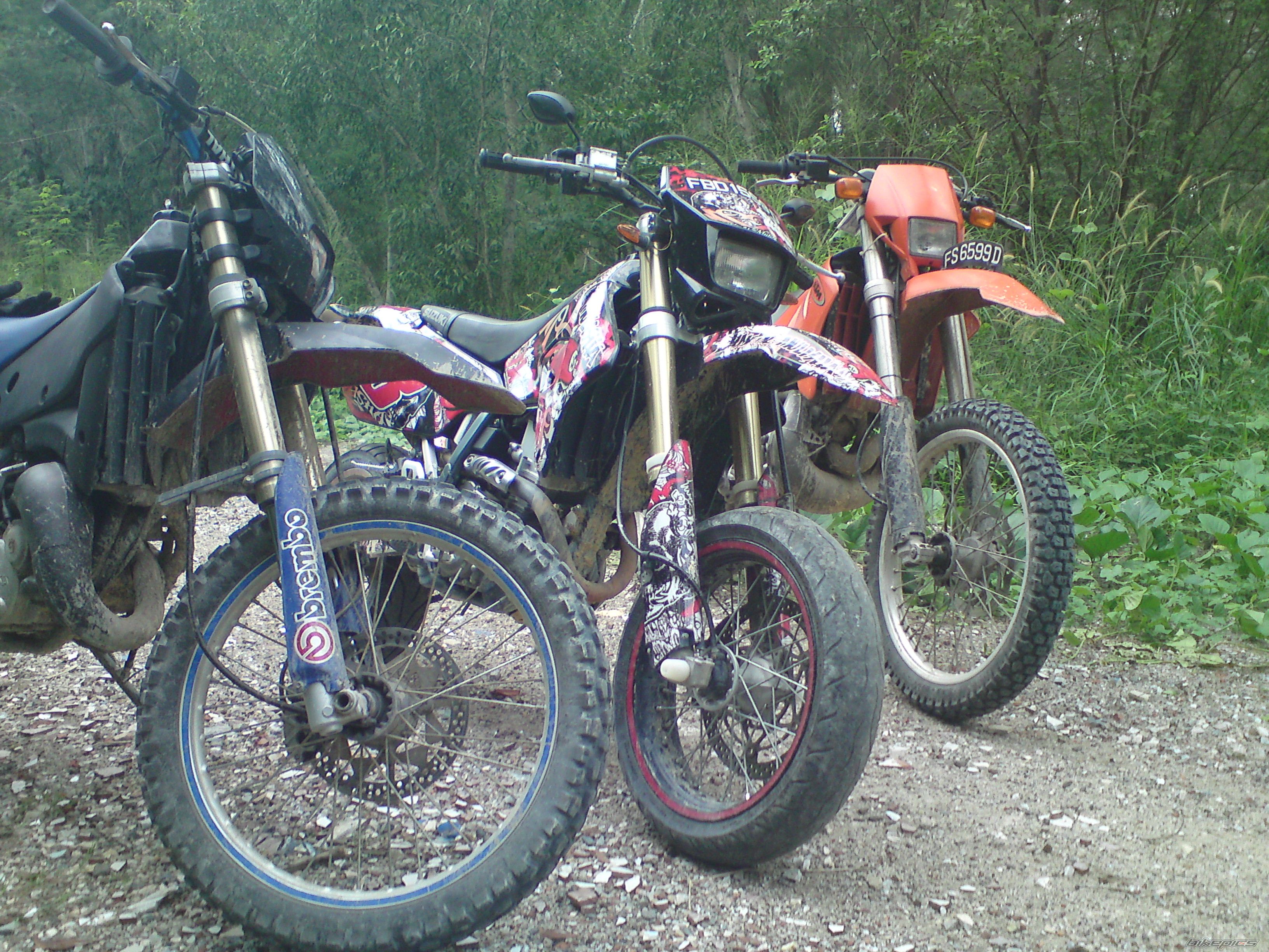 Photo 1978289