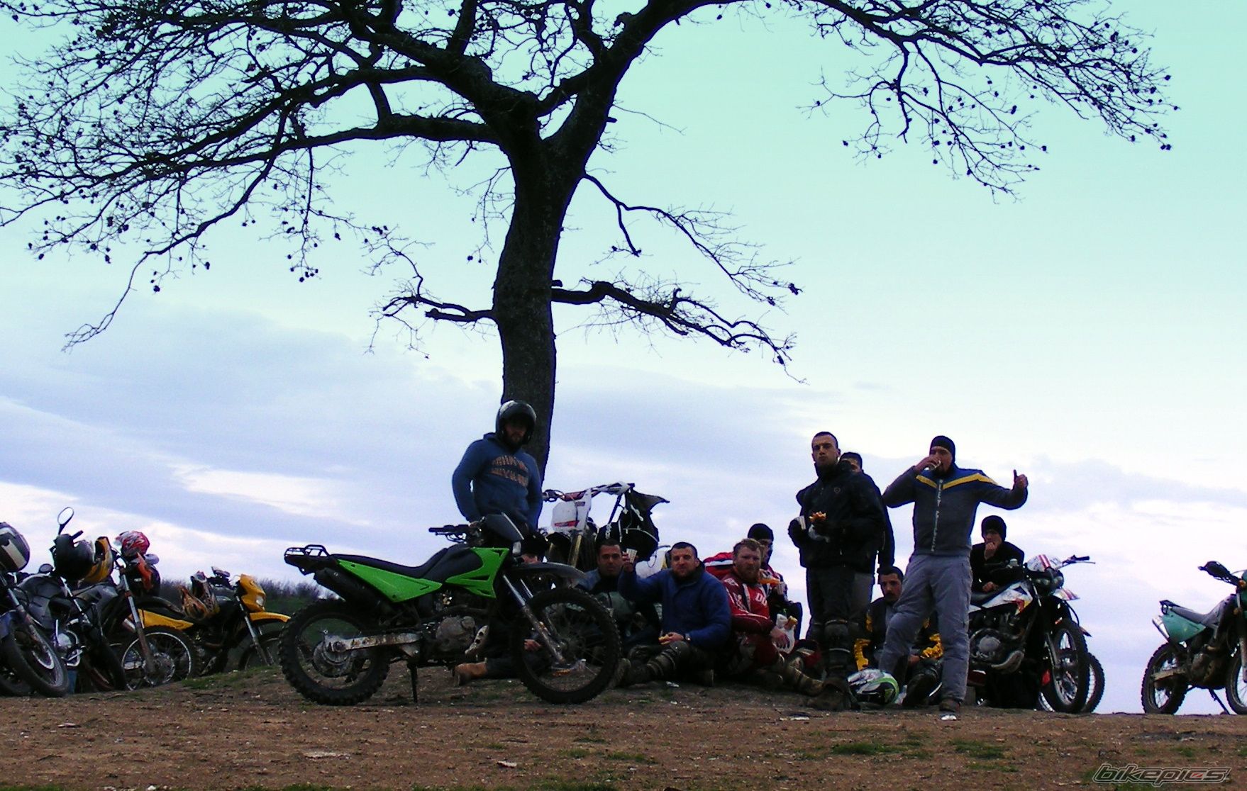 Photo 1978388
