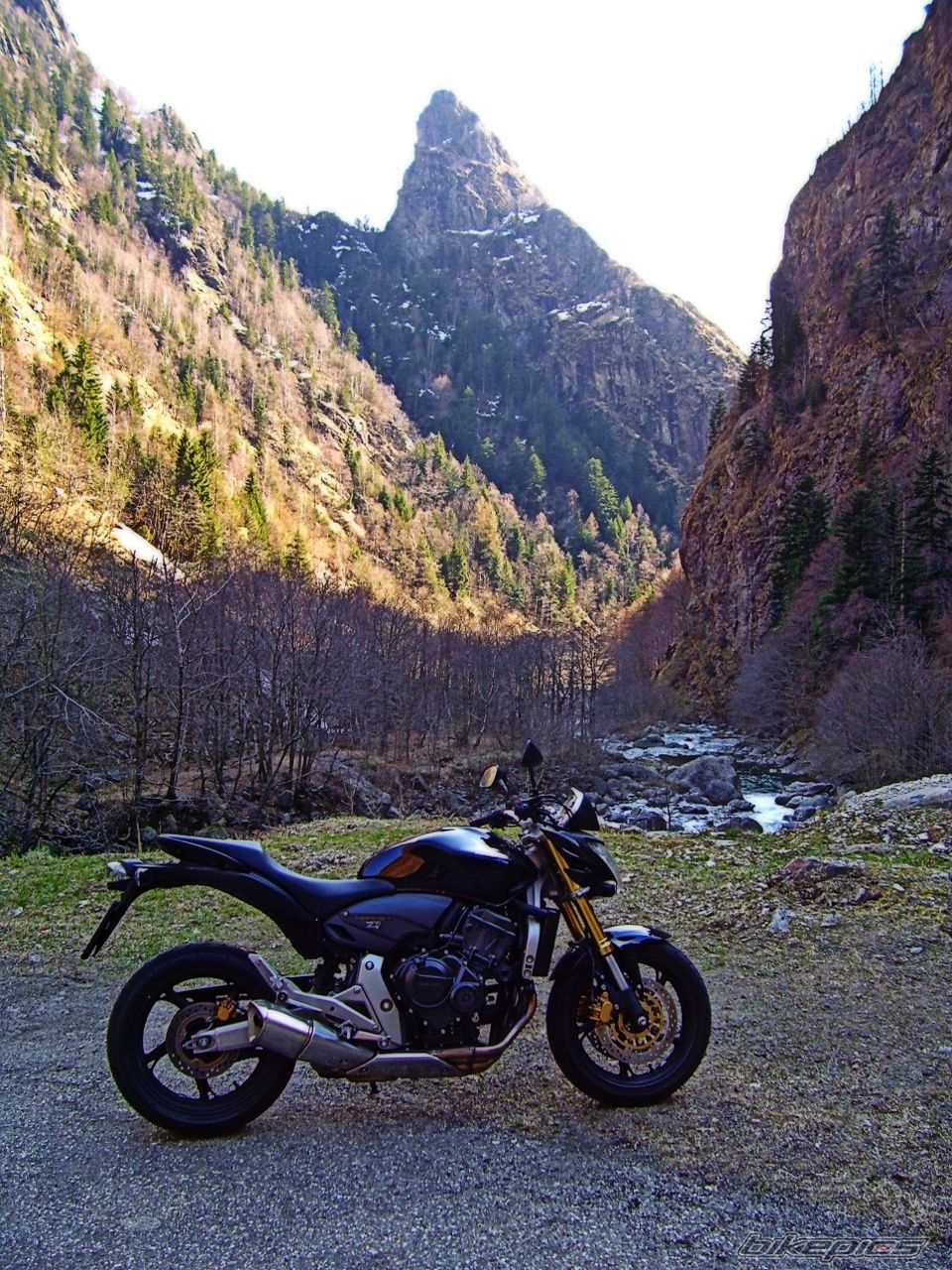 Bike Photo 1978409