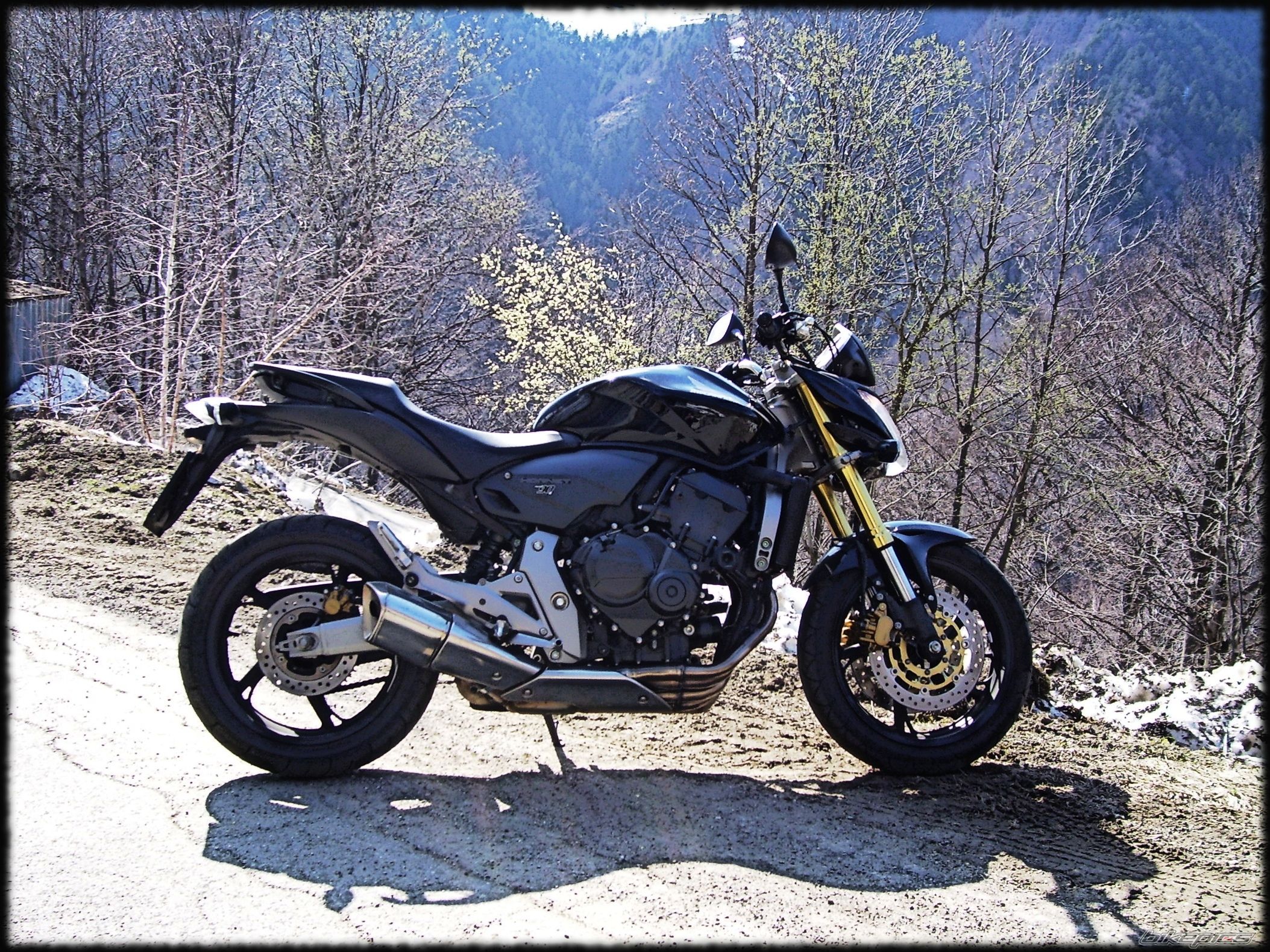 Bike Photo 1978438