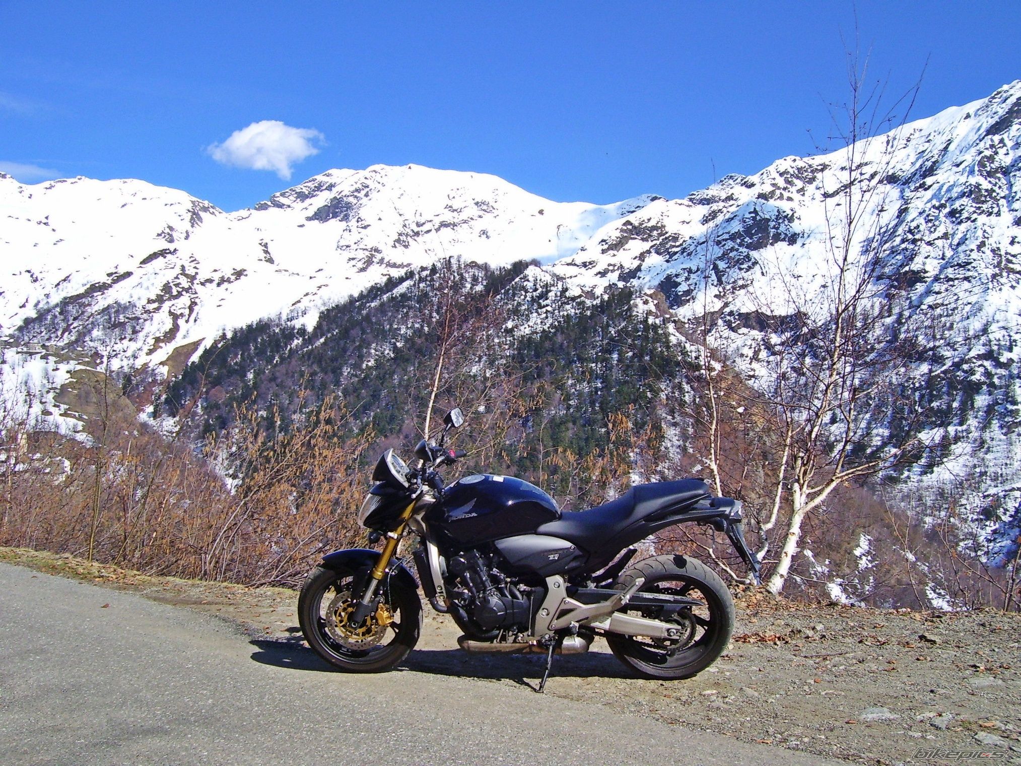 Bike Photo 1978449