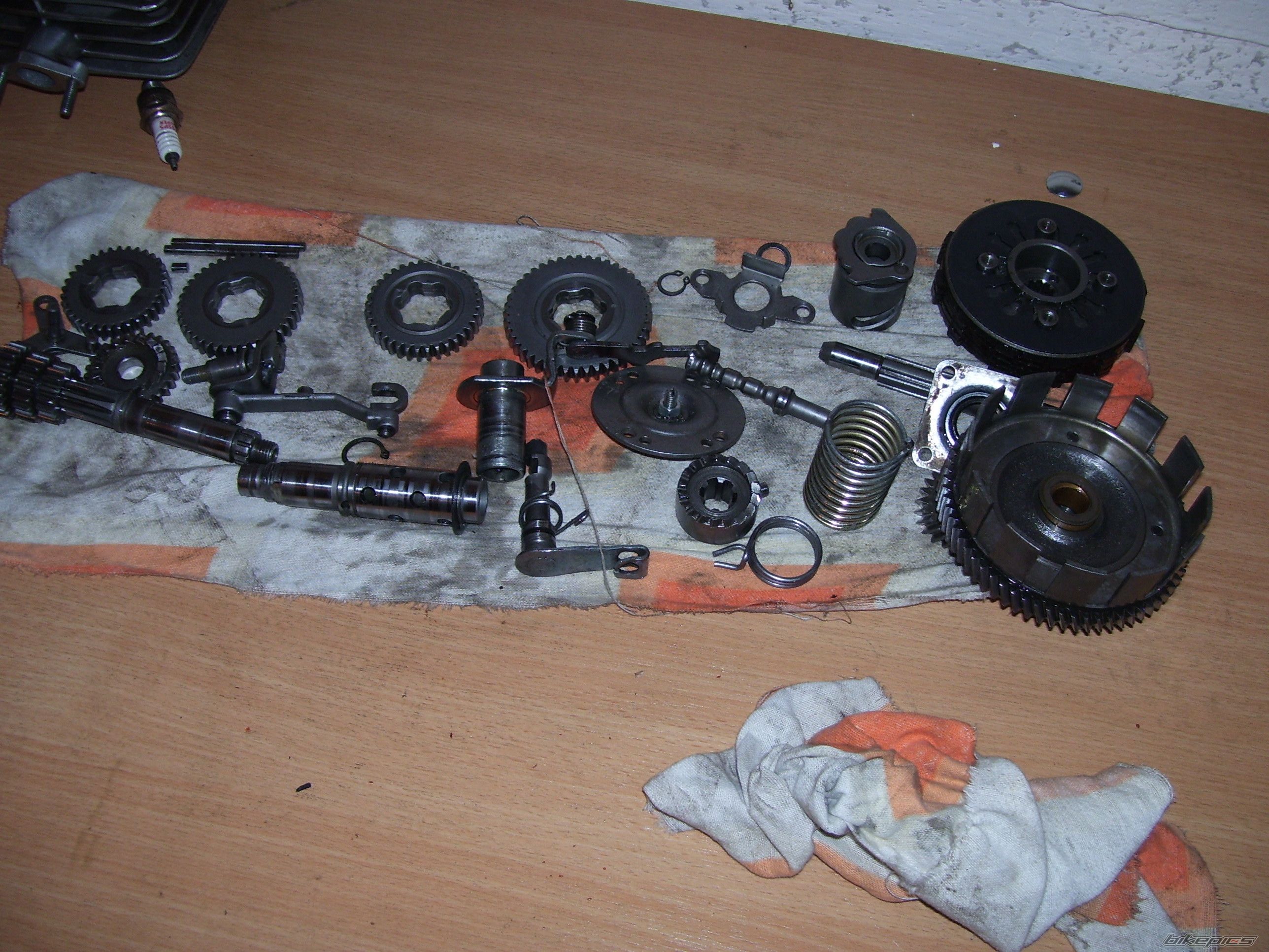 Photo 1978475