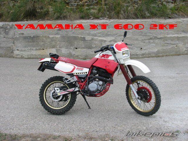Photo 1978635