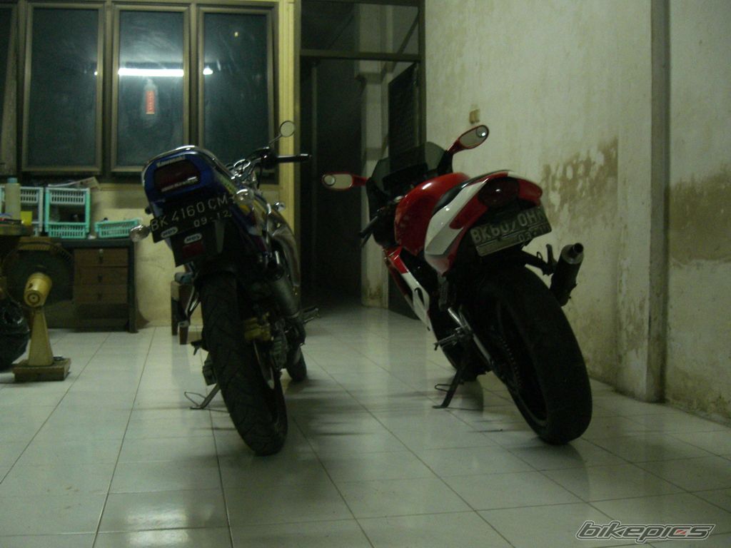 Photo 1978678