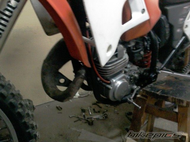 Photo 1978742
