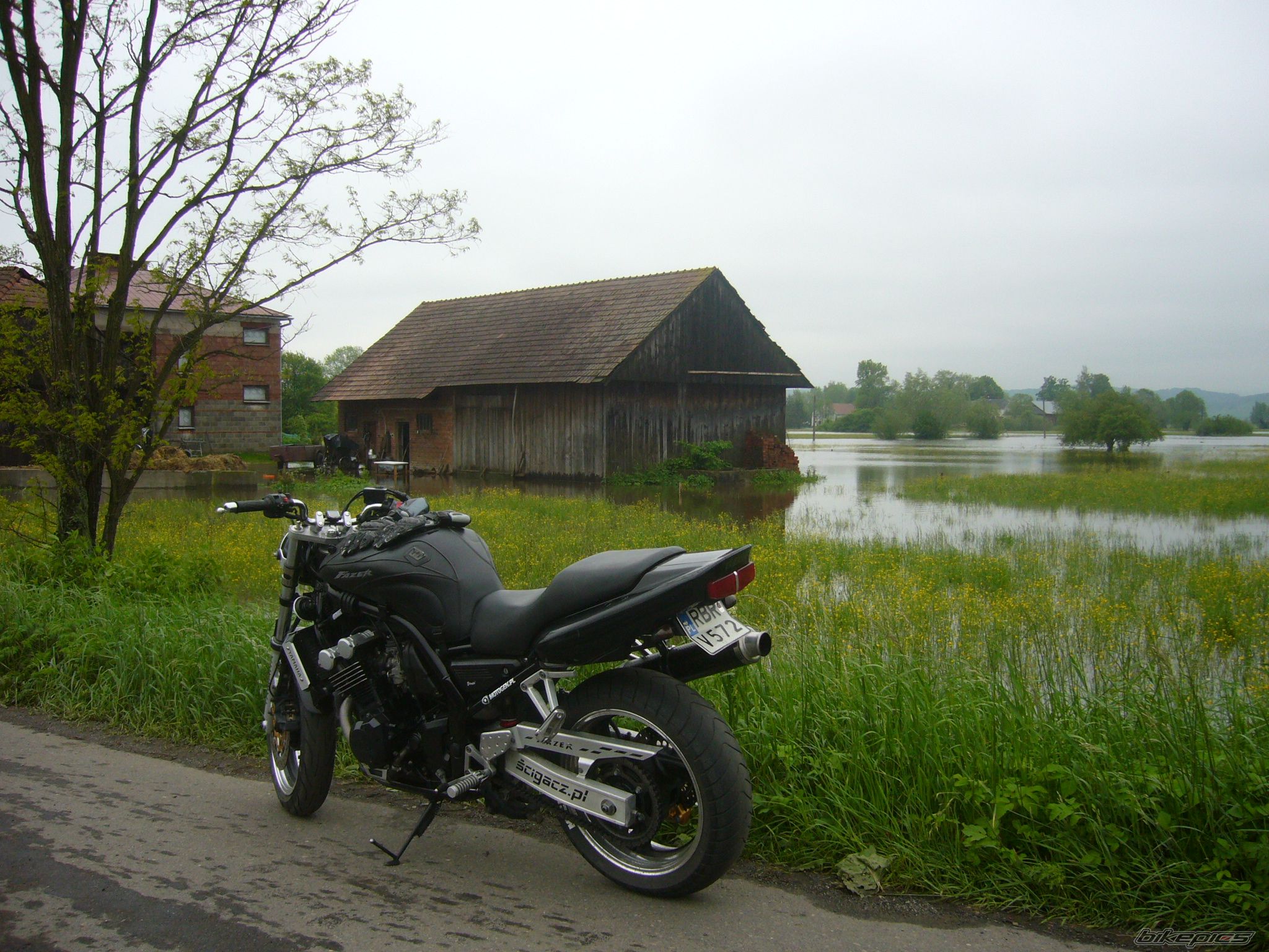 Bike Photo 1978791