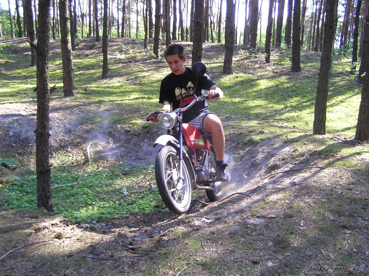 Photo 197880
