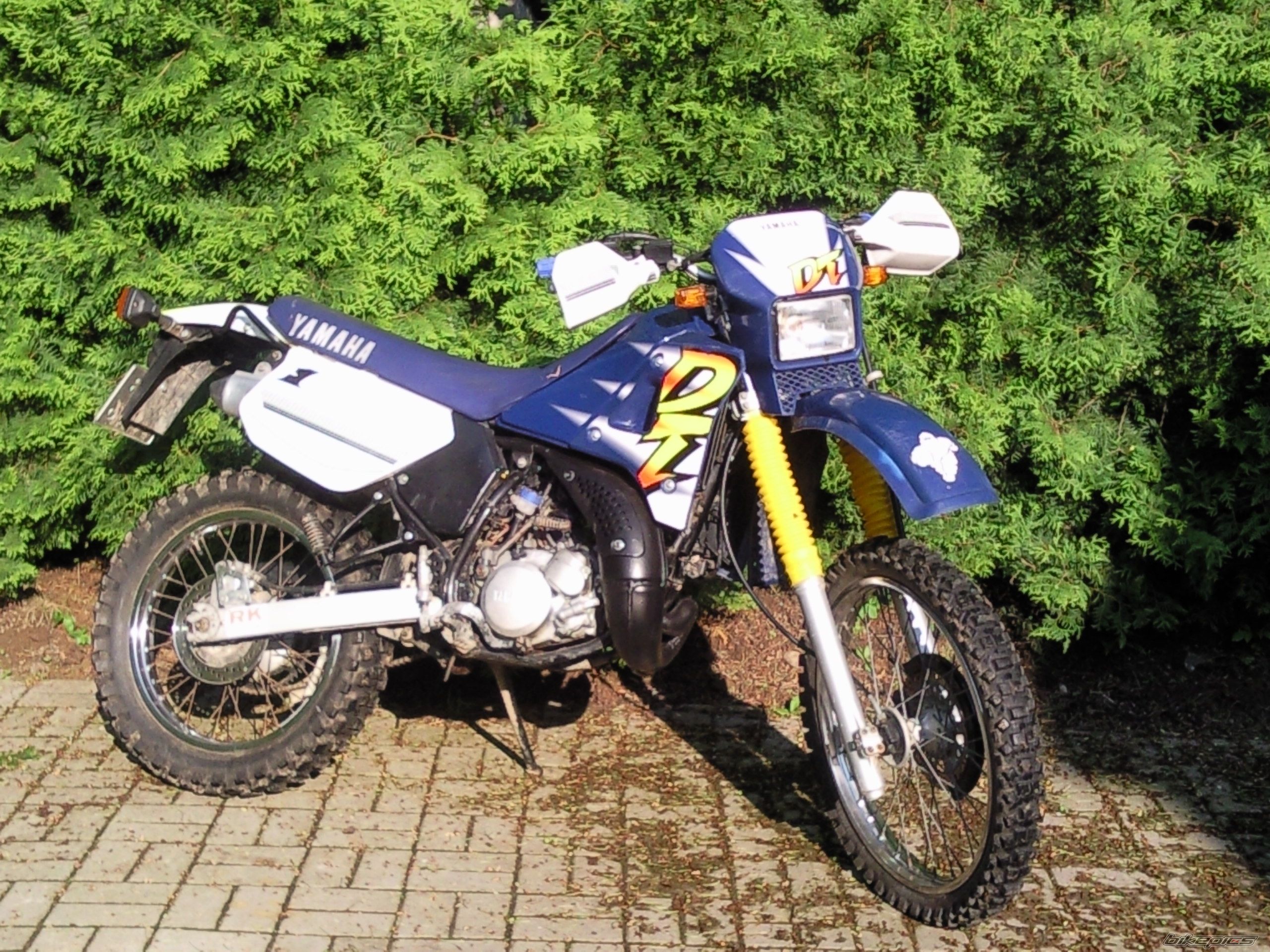 Photo 1979029