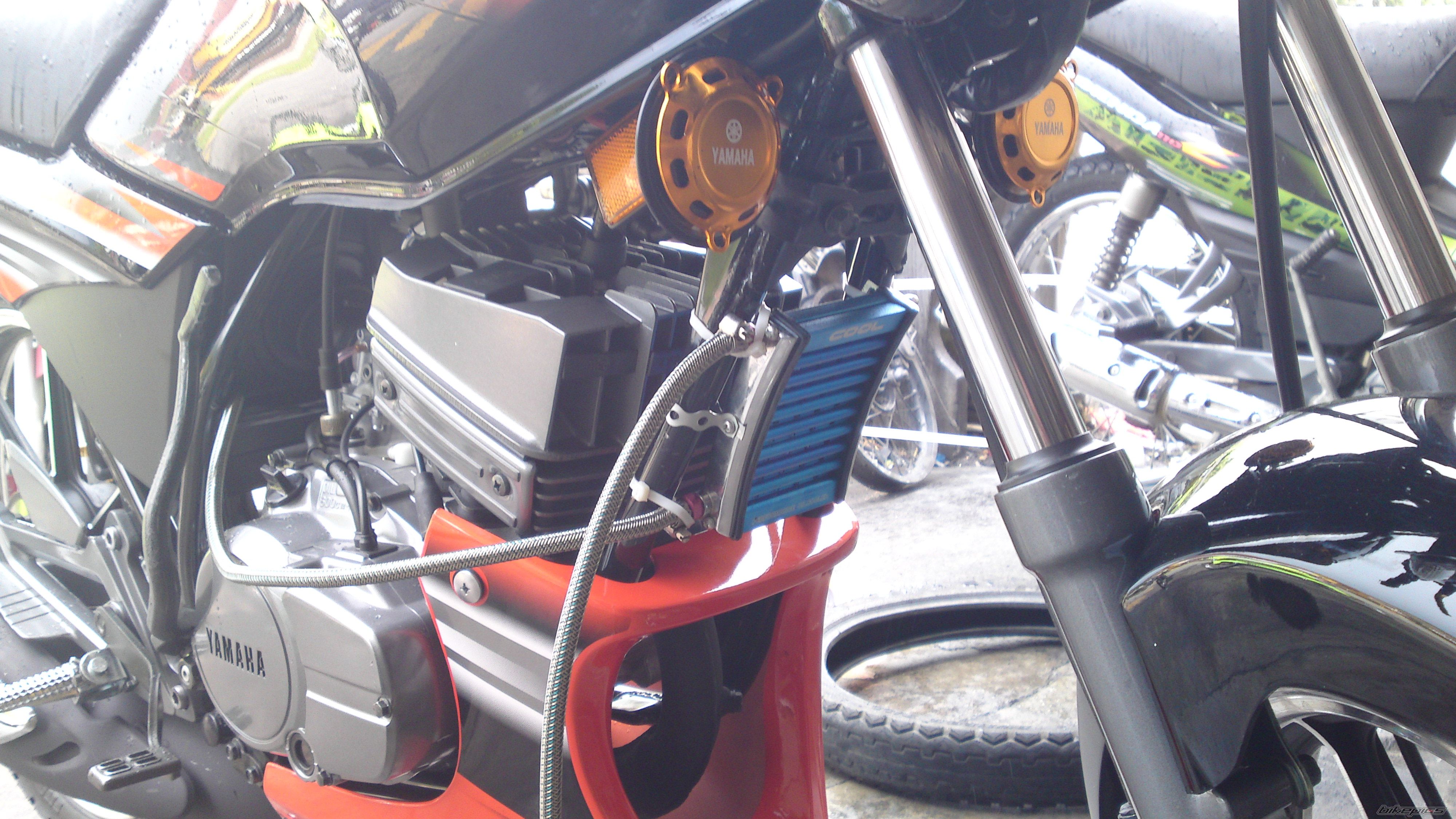 Photo 1979071