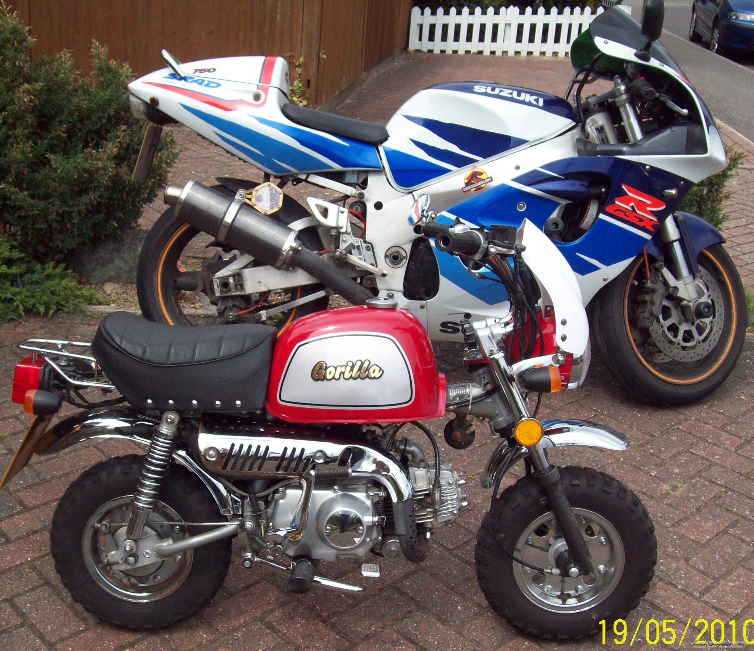 Photo 1979105