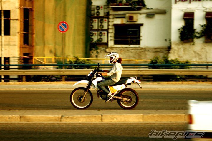 Photo 1979121