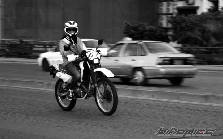 Photo 1979123