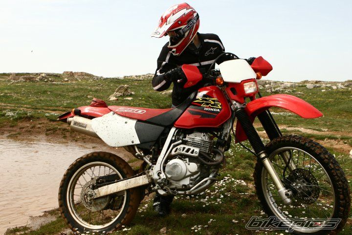 Photo 1979141
