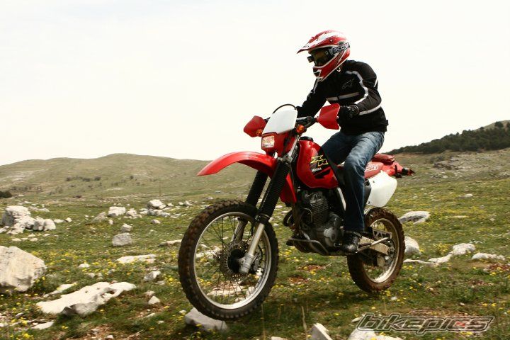 Photo 1979143