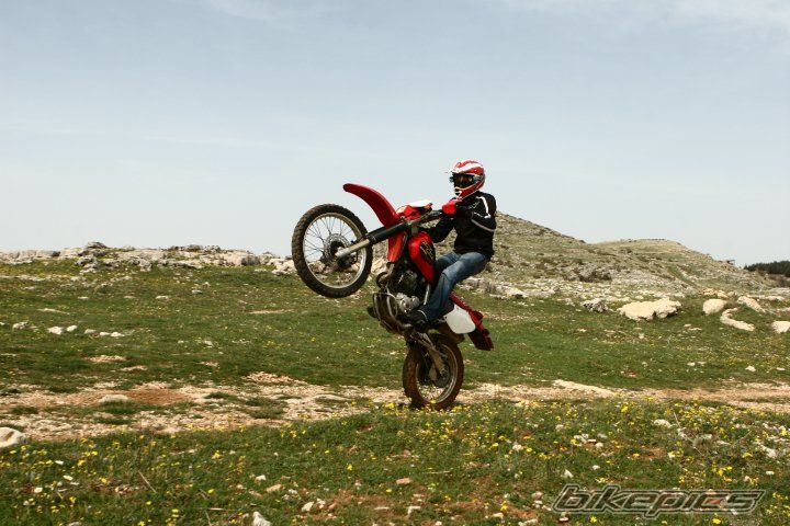 Photo 1979144