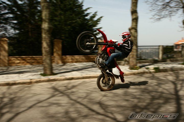 Photo 1979146