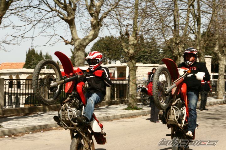 Photo 1979147