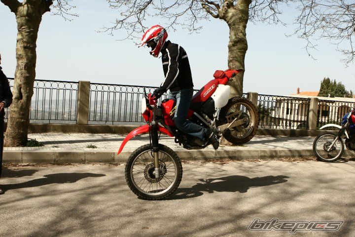 Photo 1979148