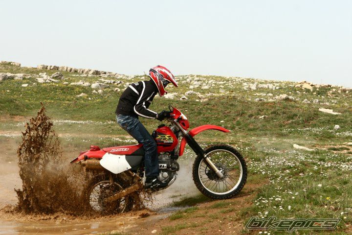 Photo 1979149