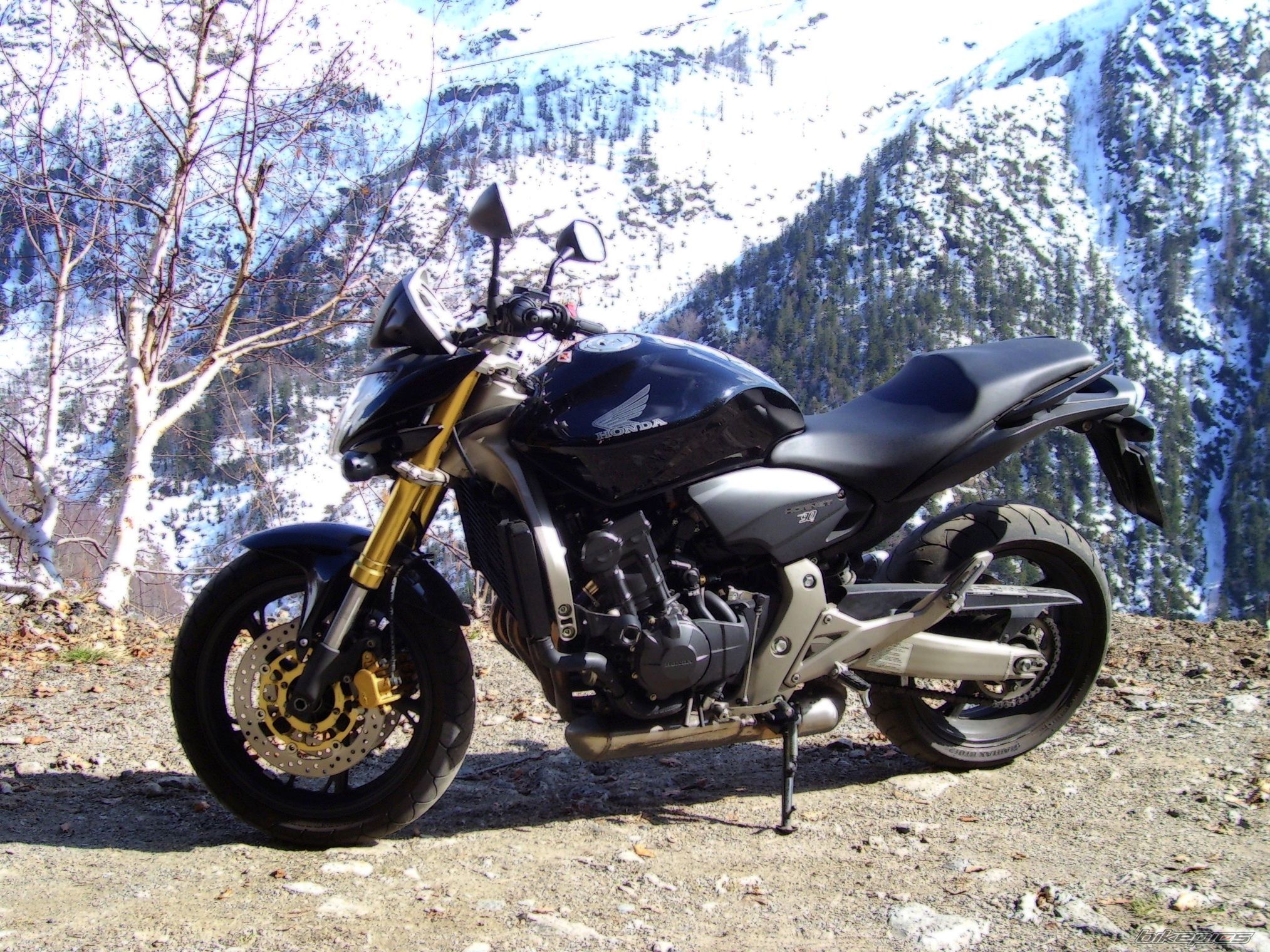 Bike Photo 1979198