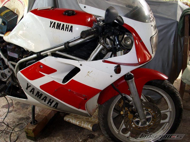 Photo 1979284