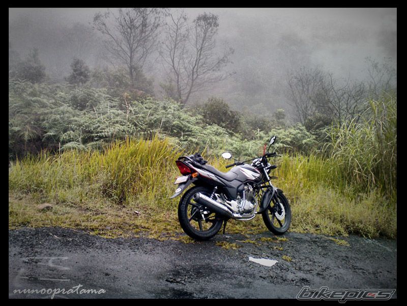Photo 1979334