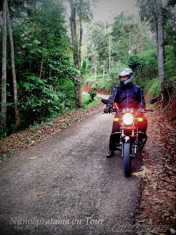 Photo 1979340