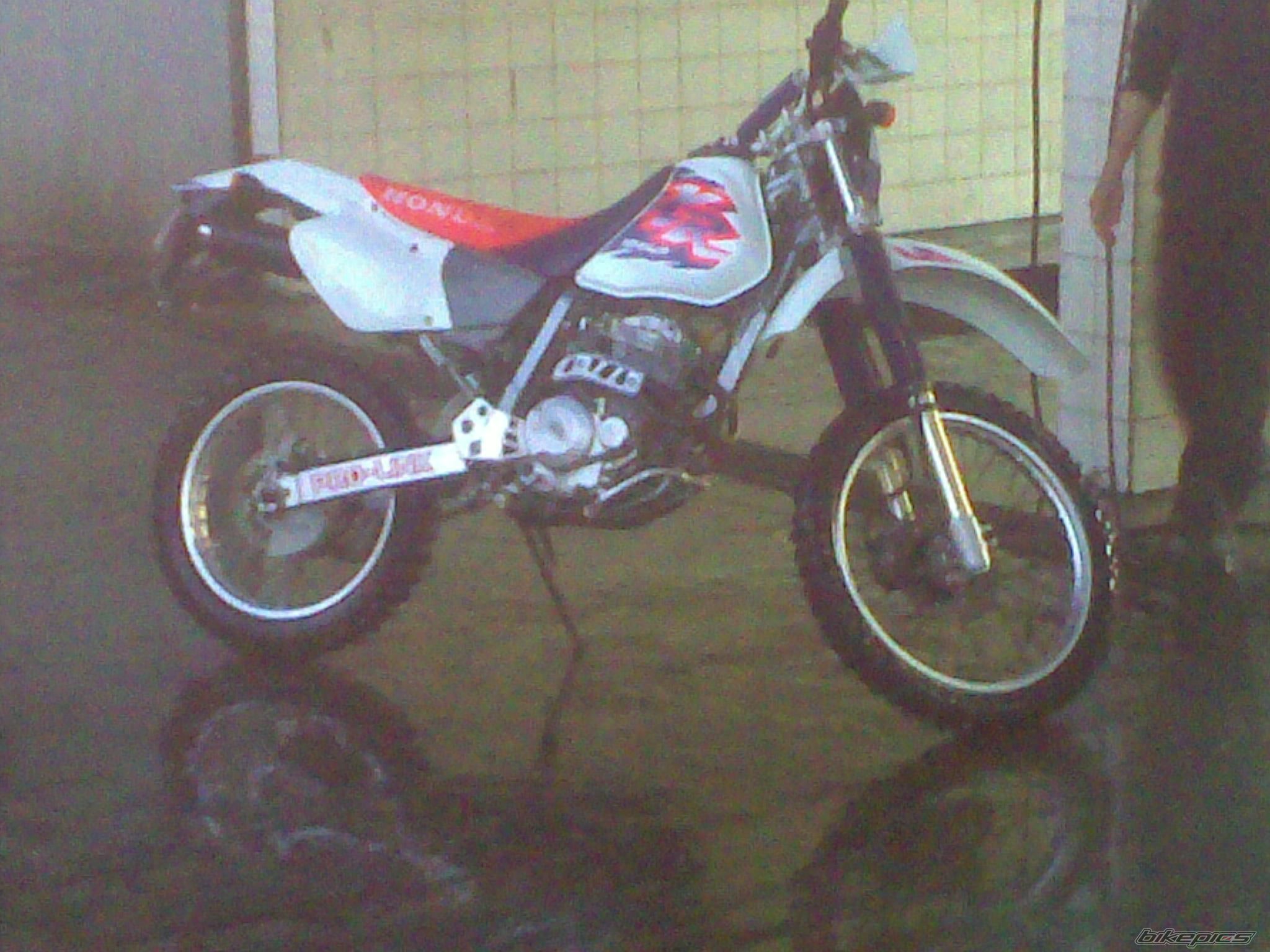 Photo 1979365