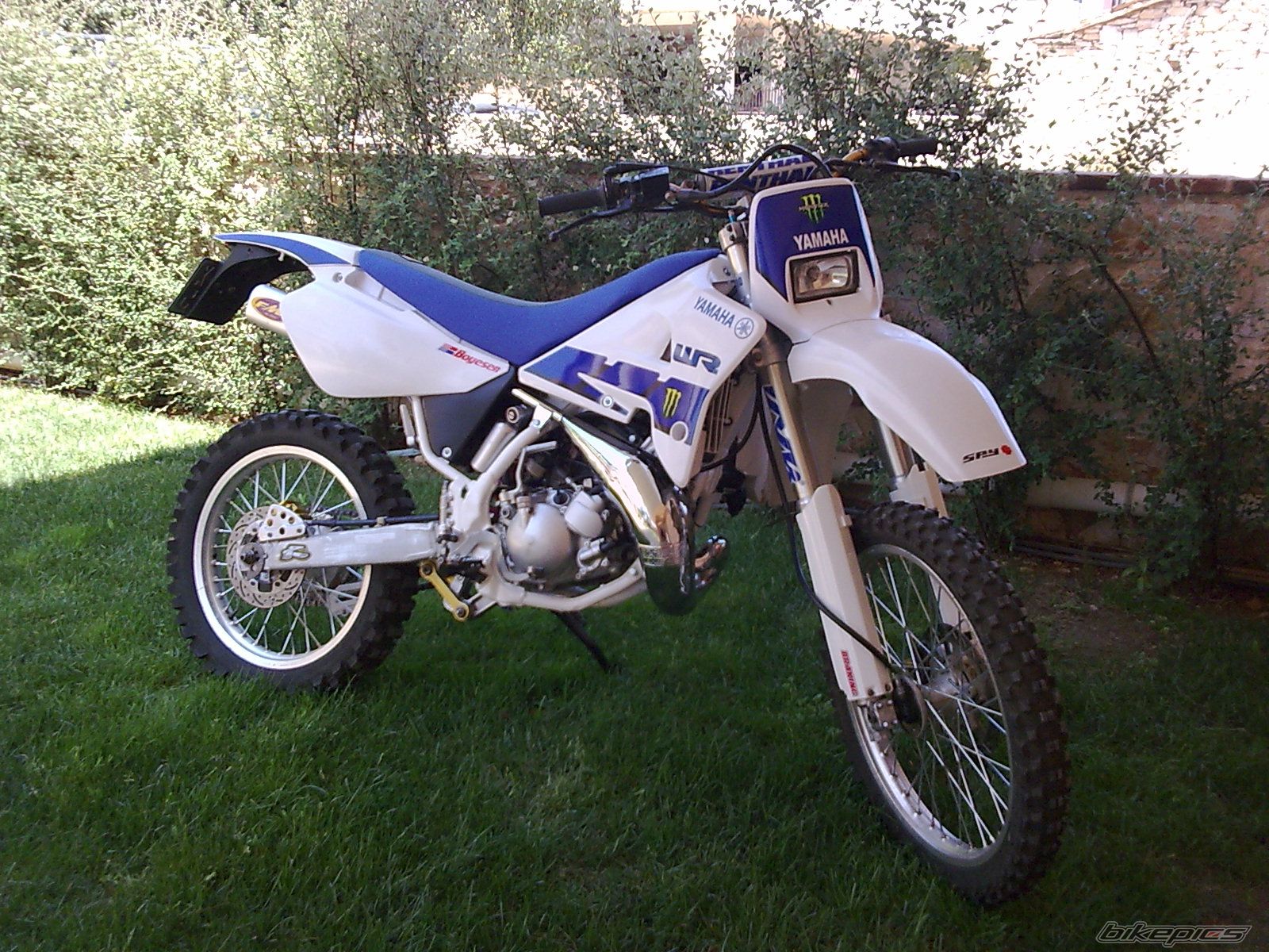 Photo 1979392