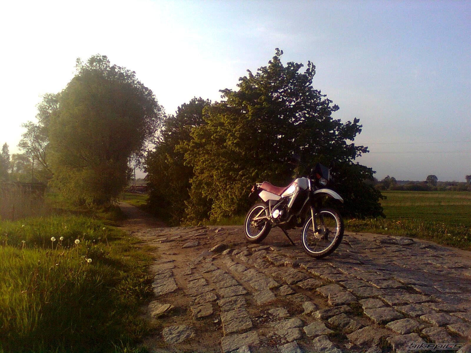 Bike Photo 1979443