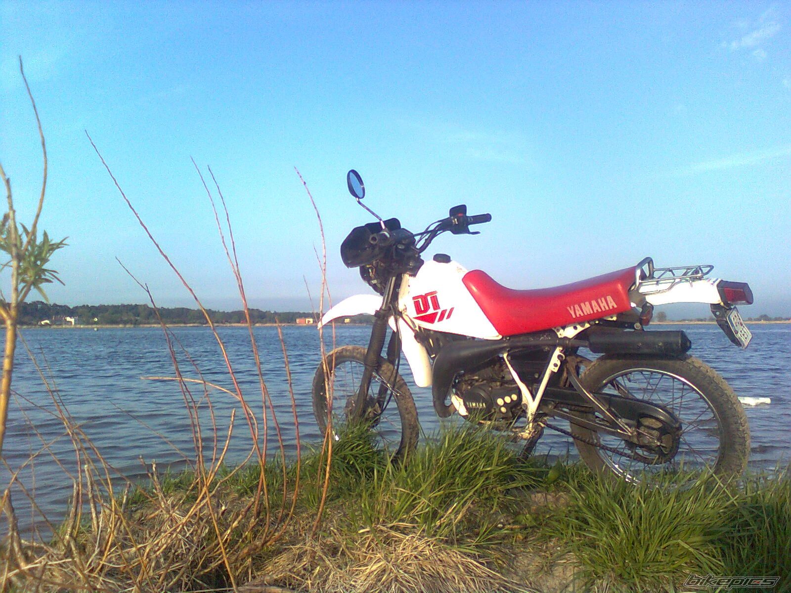 Photo 1979446