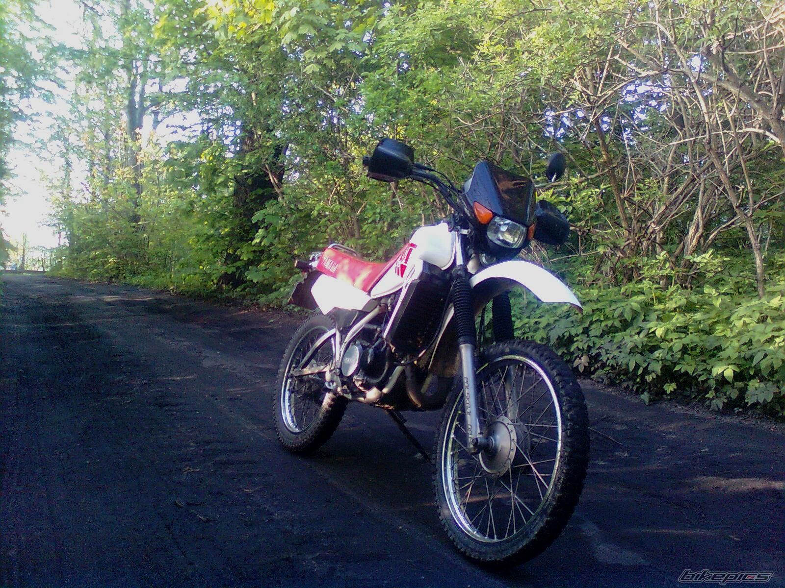 Photo 1979450